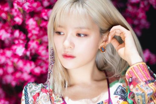 Chấn thương cổ chưa hồi phục, Jungyeon không thể nhảy trong concert online của Twice