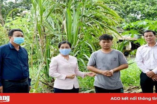 Lãnh đạo huyện Châu Thành khảo sát các mô hình nông nghiệp bị ảnh hưởng do mưa bão