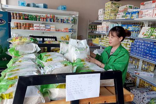 Xây dựng thương hiệu cho nông sản chủ lực