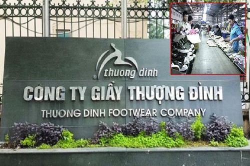 Giày Thượng Đình bị cưỡng chế nợ thuế