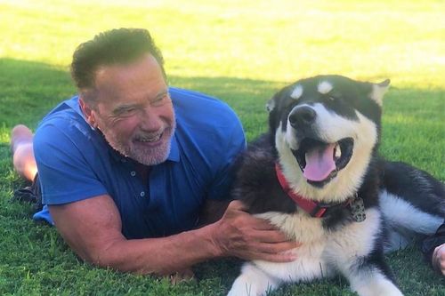 Tuổi 73 của 'kẻ hủy diệt' Arnold Schwarzenegger