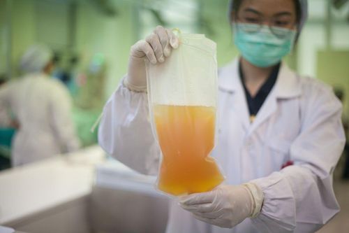 15 người từng mắc Covid-19 đăng ký hiến huyết tương