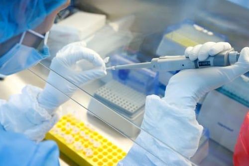 Nga sẽ phê duyệt vaccine phòng Covid-19 đầu tiên trên thế giới vào tuần tới