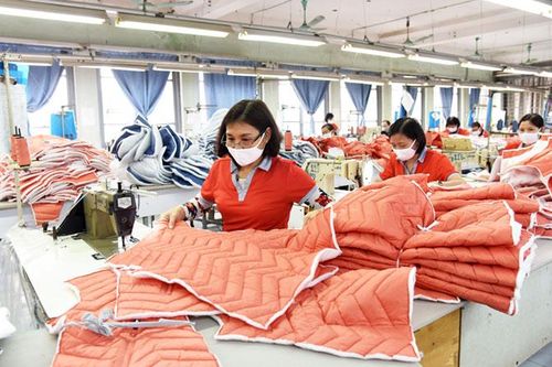 Nỗ lực hành động, nắm bắt cơ hội từ EVFTA