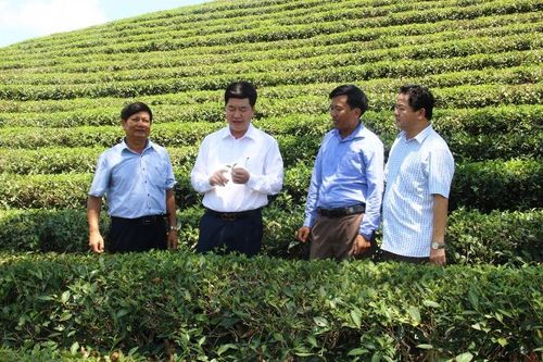 Phát huy truyền thống 'Xích vệ đỏ' tạo đột phá để phát triển