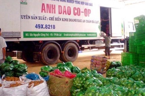 Tranh chấp tại Cty CP rau Anh Đào- Lâm Đồng: TGĐ Phạm Quốc Liêm 'biệt tích', đối tác và người lao động kêu cứu