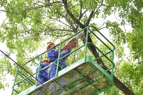 Hà Nội: Chủ động ứng phó thiên tai trong kỳ thi tốt nghiệp THPT năm 2020