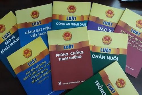Nâng cao chất lượng thẩm định, góp ý dự thảo văn bản quy phạm pháp luật