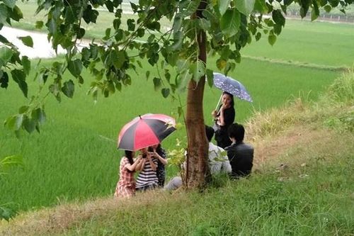 Sau khi phát ngôn 'gây bão' về đàn ông Việt, Michiyo Phạm Ngà tung MV hài kịch Bolero