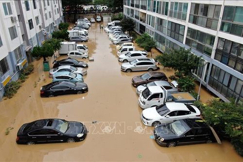 Tình hình thiên tai tại Hàn Quốc, Ấn Độ và một số nước châu Phi