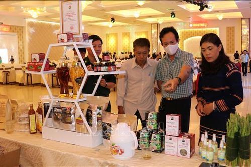 Chuyển cây trồng vật nuôi, giúp đồng bào dân tộc vươn lên thoát nghèo