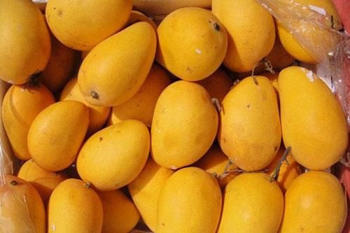 5 loại hoa quả thường xuyên bị ngâm ủ hóa chất: Nhìn sự khác thường ở cuống để phân biệt