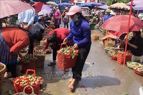 Lào Cai đặt kế hoạch thu hút đầu tư thêm 17 chợ tại 9 huyện, thị