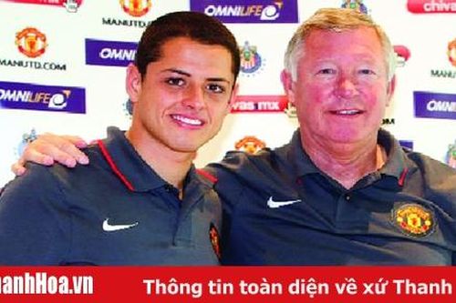 'Hạt đậu nhỏ' không thể thành cây