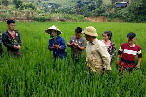 Triển khai chương trình hành động sau đại hội