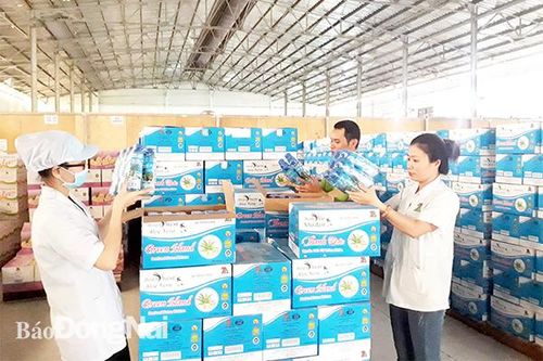 Sở hữu trí tuệ đối với doanh nghiệp trong hội nhập