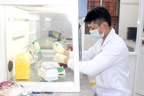 Tăng cường xét nghiệm virus SARS-CoV-2