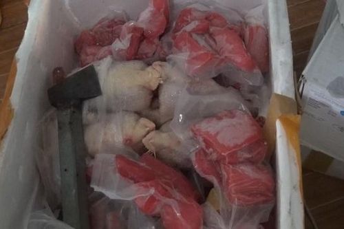 Phát hiện hàng trăm ký thịt động vật đông lạnh không rõ nguồn gốc