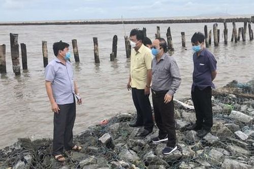 Đê biển Tây Nam kêu cứu!