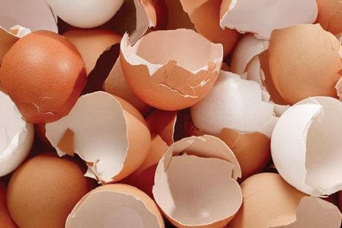 Tác dụng thần kỳ của vỏ trứng không phải ai cũng biết
