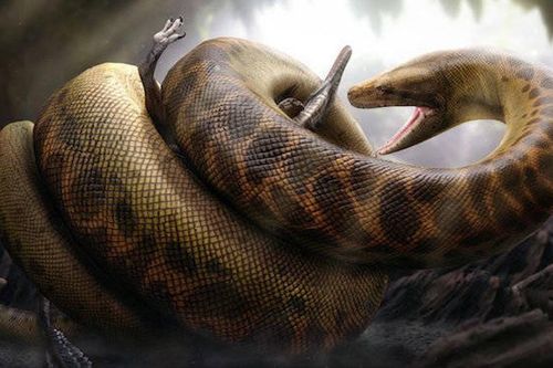 Sẽ ra sao nếu loài rắn khổng lồ từ 58 triệu năm trước còn tồn tại?
