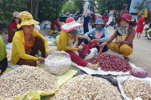 Nâng tầm thương hiệu tỏi Lý Sơn
