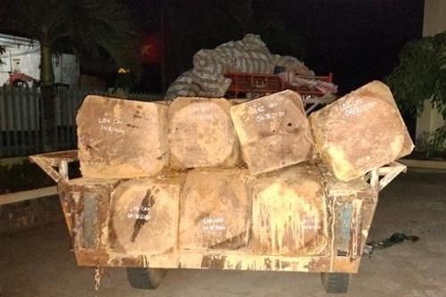 Đắk Lắk: Phát hiện, bắt giữ liên tiếp các vụ vận chuyển gỗ trái phép