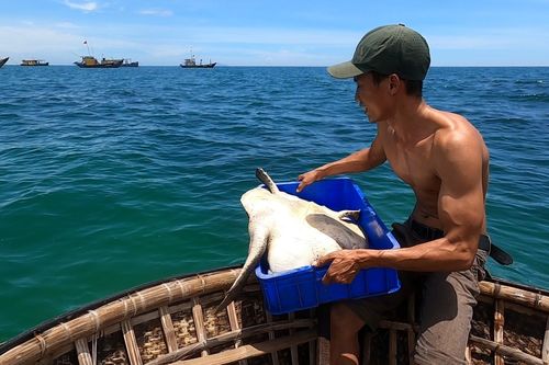 Thanh niên xứ Quảng trộm 18kg 'mồi nhậu' của cha thả xuống biển