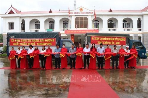 Hàng chục tấn nhãn tươi Việt Nam cập cảng thị trường Australia