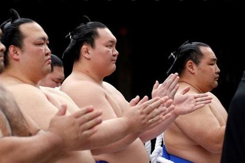 Bí quyết để các đô vật sumo không mắc các triệu chứng béo phì