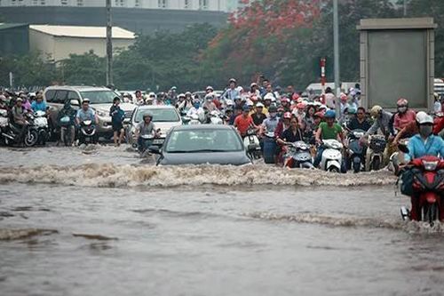 Ứng dụng cảnh báo ngập giúp tránh 'cơn ác mộng' trên đường