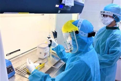 Mới: Bộ Y tế hướng dẫn tạm thời việc gộp mẫu xét nghiệm SARS-CoV-2