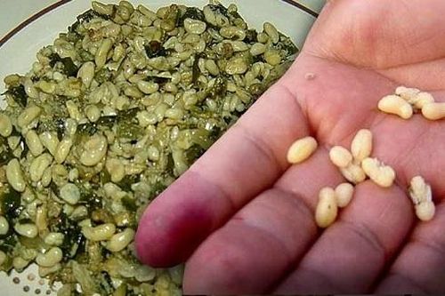 Độc đáo những món ăn chế biến từ trứng côn trùng