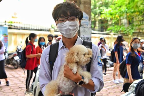 'Tuy không trúng tủ môn Văn, em vẫn viết được 2 mặt giấy'