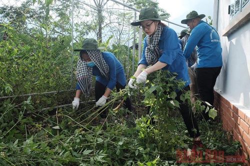 Sinh viên Đại học Luật Hà Nội mang 'Mùa hè xanh' tới Sa Pa