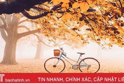 Tháng Tám gọi về nỗi nhớ