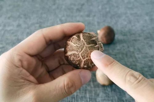Người bán hàng không bao giờ nói: Chọn nấm hương tươi nên lấy cái to hay cái nhỏ?