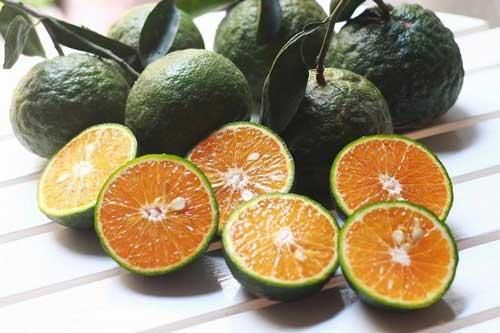 Cam giàu vitamin C nhưng ăn theo cách này dinh dưỡng biến thành độc dược, gây hại sức khỏe