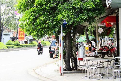 Biển báo bị tán cây che phủ