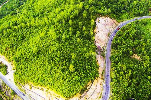 Khó đạt mục tiêu độ che phủ rừng