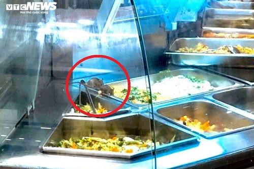 Để chuột bò lúc nhúc trên quầy thức ăn, Aeon Việt Nam xin lỗi
