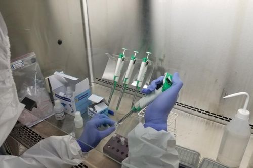 Một nữ hành khách Việt Nam được phát hiện dương tính với SARS-CoV-2 khi đến Nhật Bản
