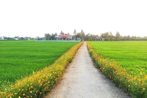Thanh Hóa: Bản Vịn xây dựng nông thôn mới