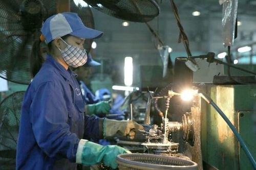 Bình quân mỗi ngày có hơn 300 doanh nghiệp đóng cửa