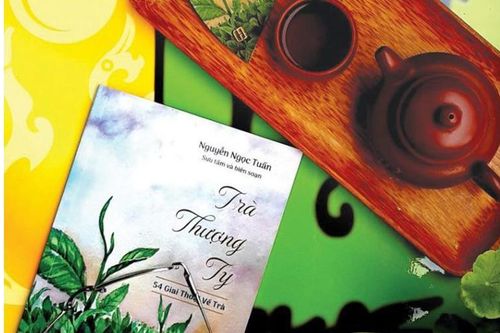 'Trà Thượng Ty': Những cuộc rong chơi với trà