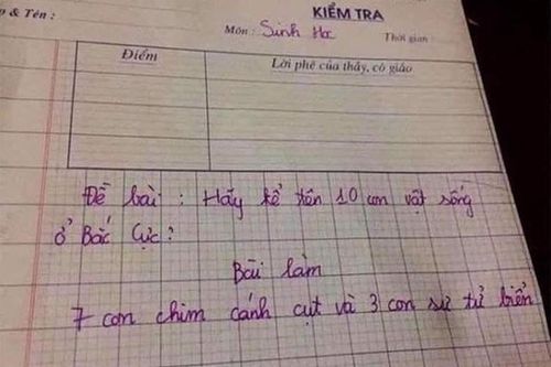 Đọc đáp án bài kiểm tra, cô giáo không biết phải chấm sao