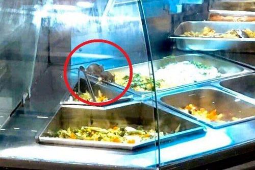TP.HCM: Chuột trong khay thức ăn của siêu thị Aeon Mall Tân Phú