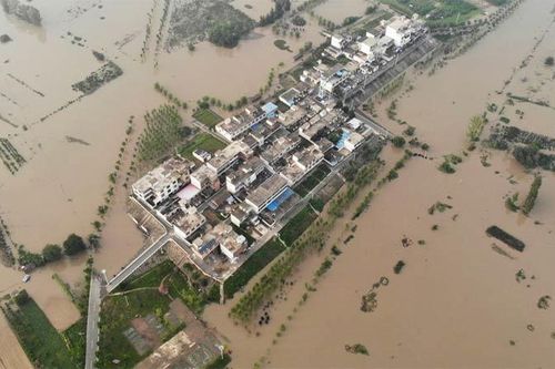 Cánh đồng thành biển lũ mênh mông, nông dân Trung Quốc khóc ròng