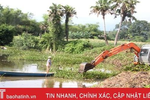 Bèo tây gây ô nhiễm xã miền núi Hương Sơn nhiều năm liền