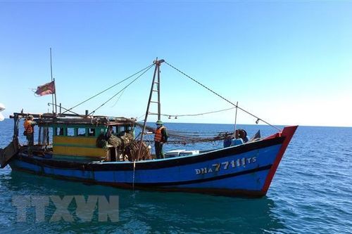 Bắt giữ một tàu khai thác giã cào trái phép gần bờ biển Lăng Cô